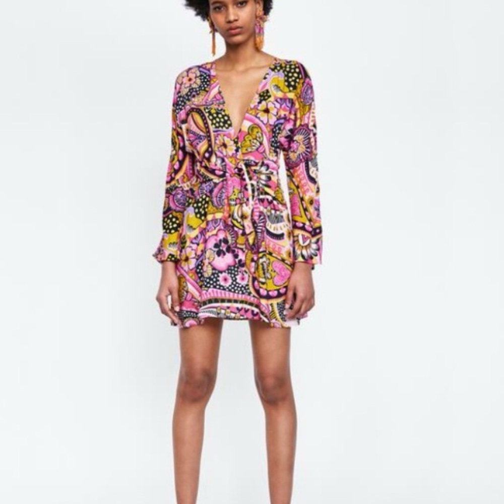 Zara Paisley 70s Inspired Pink Dress